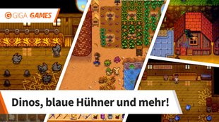 Stardew Valley: Schattenei, Dino-Ei und Co. - So bekommt ihr besondere Tiere!