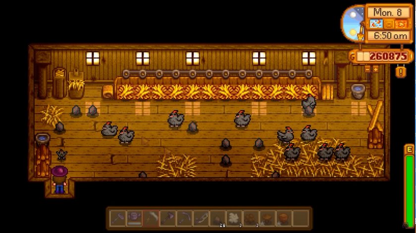 stardew-valley-tiere-schattenhuhn-1