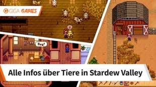 Stardew Valley: Tiere füttern, kaufen, züchten und Stall bauen