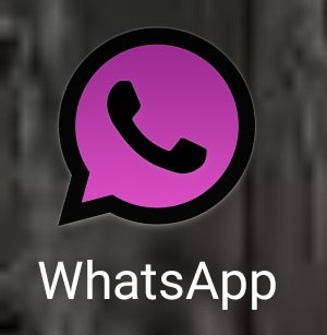 whatsapp-logo-pink