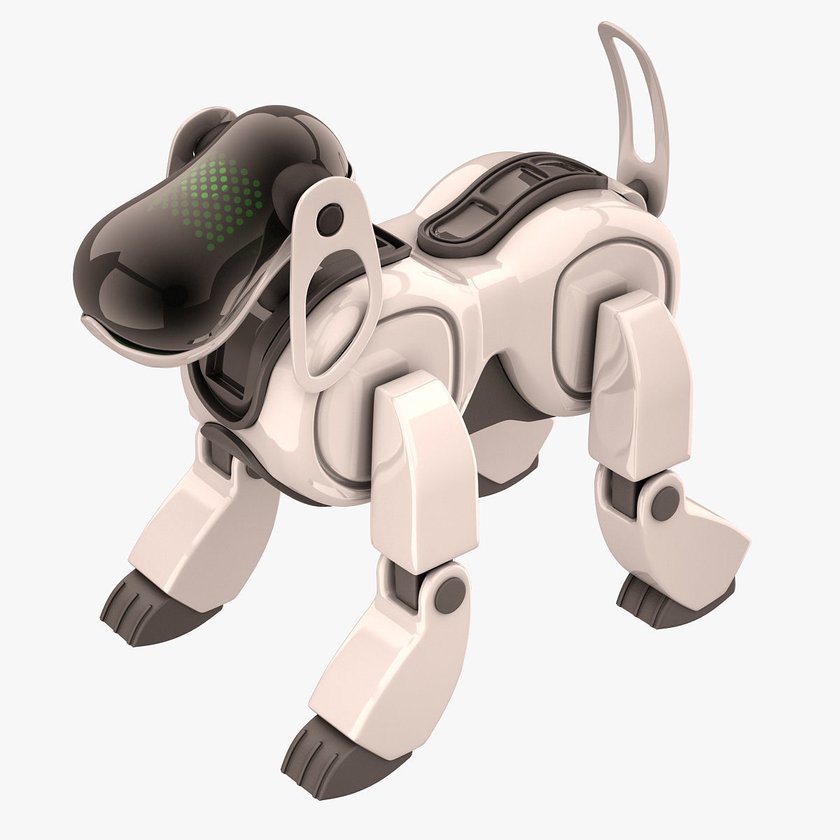 aibo