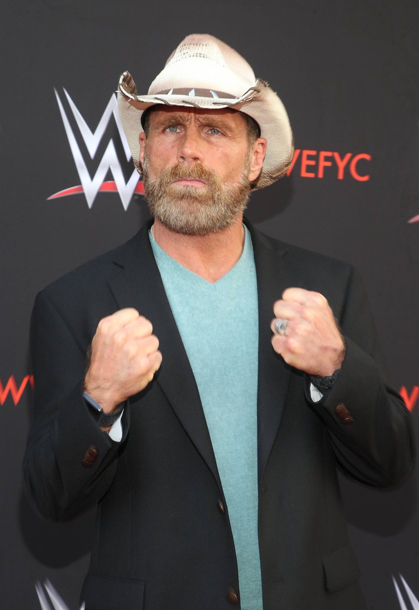 Shawn Michaels 2018