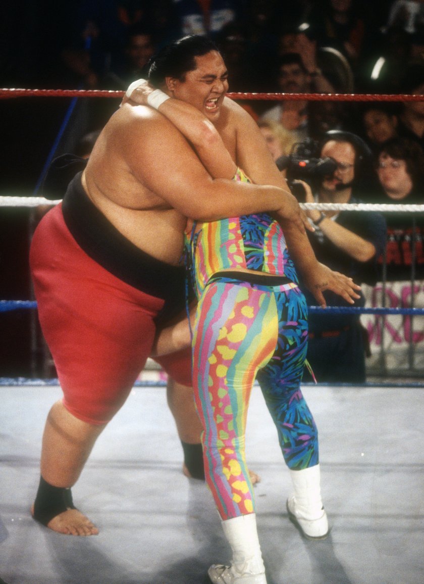 Yokozuna 1993