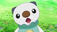 Pokémon: Zeichner gibt zu, dass er Pokémon bewusst „uncool“ macht