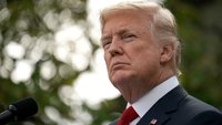 „Donald Trump“ schreibt wieder Fake-Reviews auf Steam