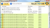 DownThemAll für Firefox