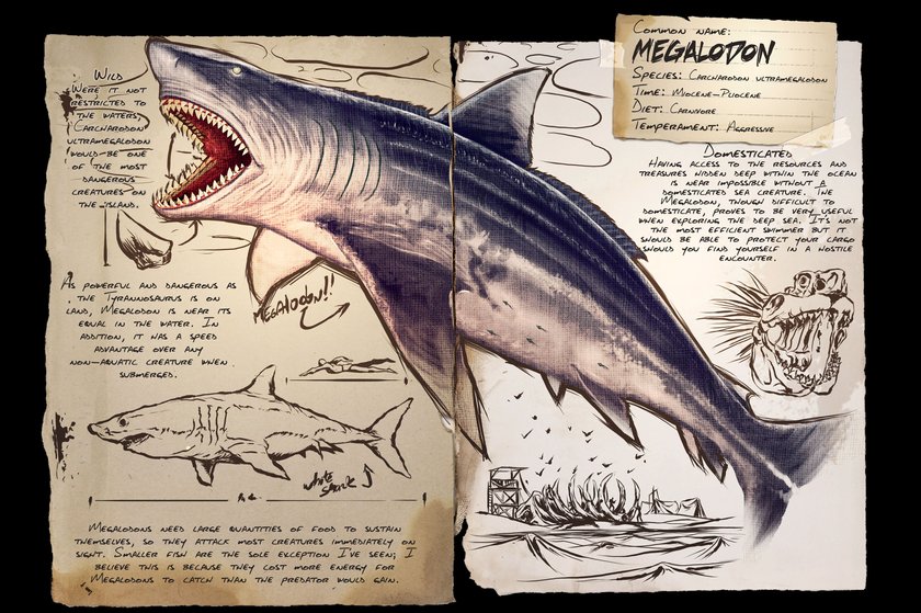 Megalodon