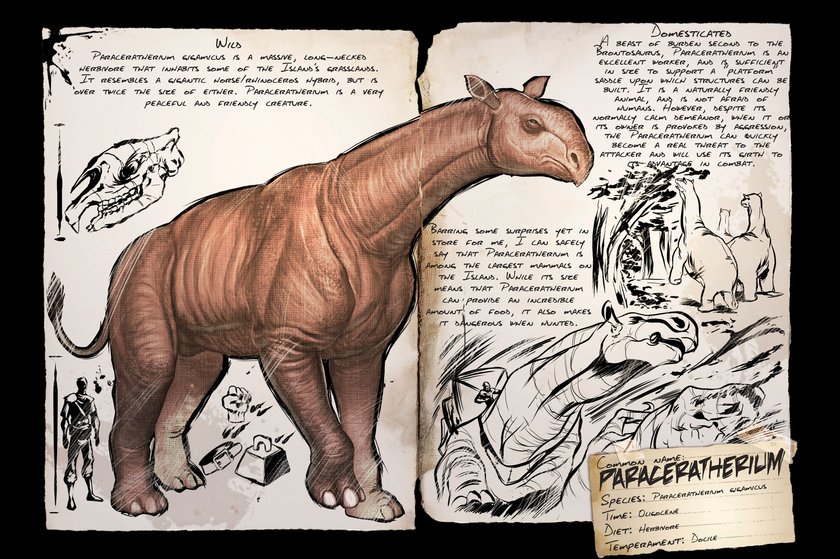 Paraceratherium