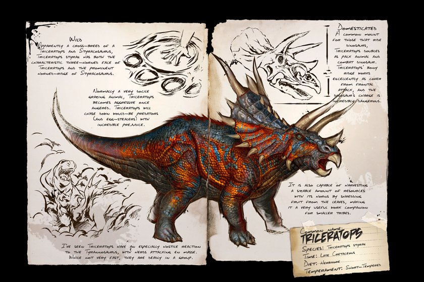 Triceratops