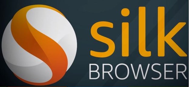 Amazon Fire TV: Browser nutzen – so klappts