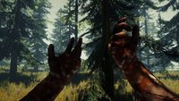The Forest: Survival-Spiel nach vier Jahren raus aus Early Access