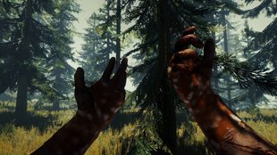 The Forest: Survival-Spiel nach vier Jahren raus aus Early Access