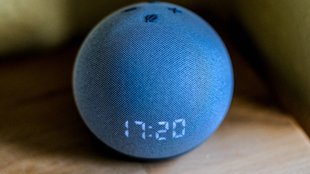 21 kostenlose Alexa Skills, auf die man nicht verzichten sollte