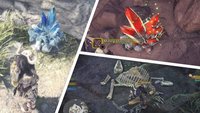 Monster Hunter World: Erze, Knochen, Pflanzen & Co. finden (inkl. Karte)