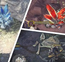 Monster Hunter World: Erze, Knochen, Pflanzen & Co. finden (inkl. Karte)