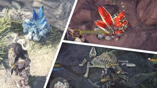 Monster Hunter World: Erze, Knochen, Pflanzen & Co. finden (inkl. Karte)