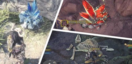 Monster Hunter World: Erze, Knochen, Pflanzen & Co. finden (inkl. Karte)