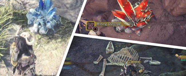 Monster Hunter World: Erze, Knochen, Pflanzen & Co. finden (inkl. Karte)