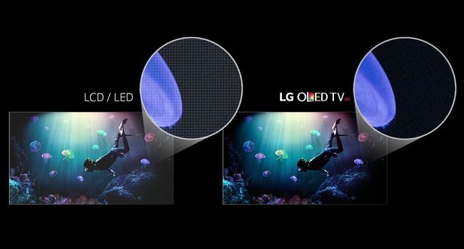 oled oder led