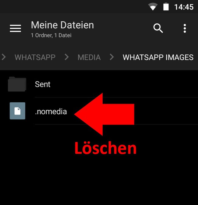 Diese Datei sollte nicht im WhatsApp-Images-Ordner sein