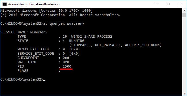 Die Prozess-ID (PID) lautet 2500