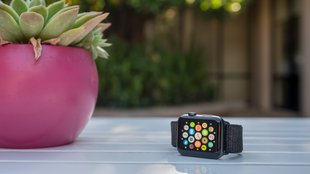 Nach Totalausfall der Apple Watch: Neues Update behebt Smartwatch-Problem