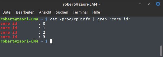 4 unterschiedliche IDs bedeuten 4 tatsächliche Kerne in der CPU