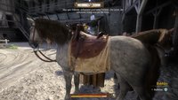 Kingdom Come Deliverance: Die besten Pferde - Plötze, Epona und andere Pferde-Fundorte