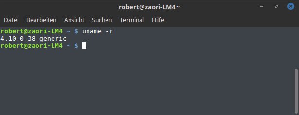 Mit dem Befehl seht ihr den aktuell genutzten Kernel