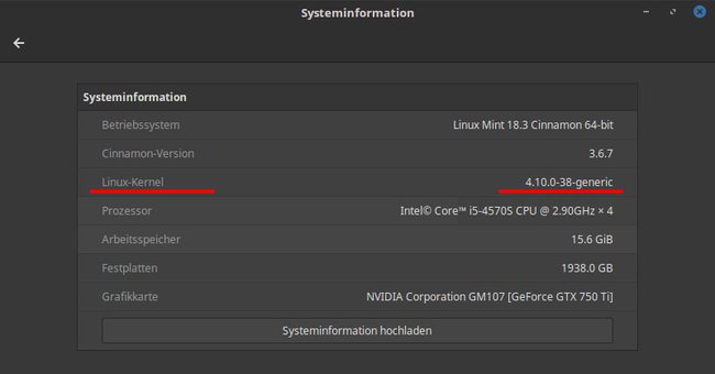 Die Systeminformationen zeigen den Linux-Kernel an. (Bildquelle: GIGA)