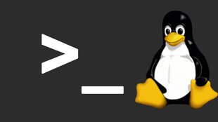 Linux: search file / find (Datei und Ordner suchen) per Terminal
