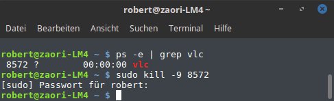 „sudo kill -9“ killt alles ohne Kompromisse