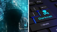 Erwartung vs. Realität – so sieht es wirklich im Darknet aus