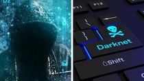 Erwartung vs. Realität – so sieht es wirklich im Darknet aus