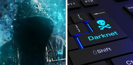 Erwartung vs. Realität – so sieht es wirklich im Darknet aus