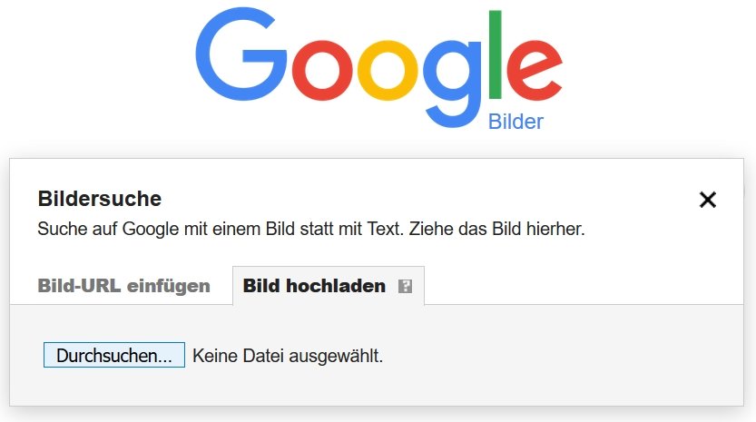 Google-Bilderkennung: So funktioniert die Rückwärts-Bildersuche