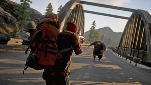 State of Decay 2: Collector's Edition kommt ohne das Spiel