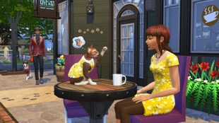 Die Sims 4: DLC für einen DLC erzürnt die Fans
