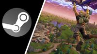 Fortnite - Battle Royale auf Steam hinzufügen - so geht's (Kurztipp)