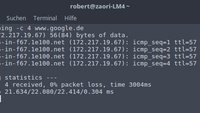 Linux: Ping-Befehl