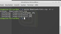 Linux unzip: ZIP-Dateien entpacken per Terminal – so geht's