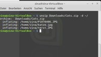 Linux unzip: ZIP-Dateien entpacken per Terminal – so geht's