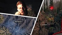 Far Cry 5: Alle Wolfsköder - Fundorte für "Ruf der Wildnis"