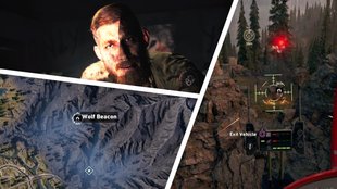 Far Cry 5: Alle Wolfsköder - Fundorte für "Ruf der Wildnis"