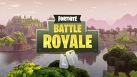 Fortnite BR: Spieler melden - so geht's (Kurztipp)