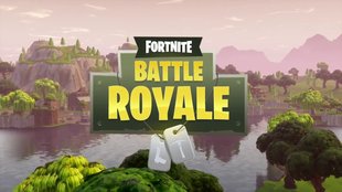 Fortnite BR: Spieler melden - so geht's (Kurztipp)