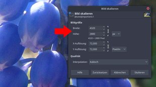 GIMP: Bild & Dateigröße verkleinern – so geht's