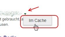 google-cache-seite