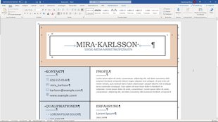 Lebenslauf-Vorlage in Word – für die perfekte Bewerbung