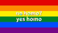 No Homo, Yes Homo? Bedeutung des Internetslangbegriffs